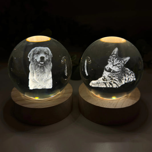 Cherish Your Pet's Memory with the Perfect Souvenir