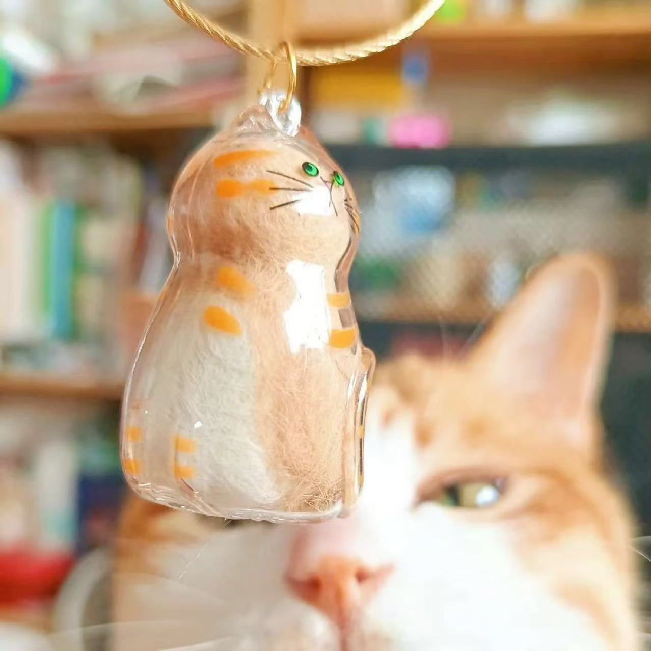 Transparent Cat and Dog Hair Storage Capsule