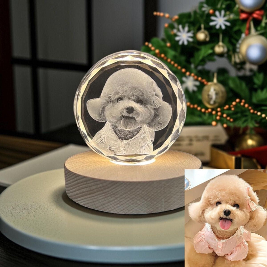 Personalized 3D Laser-Engraved Pet Photo Memorial Crystal