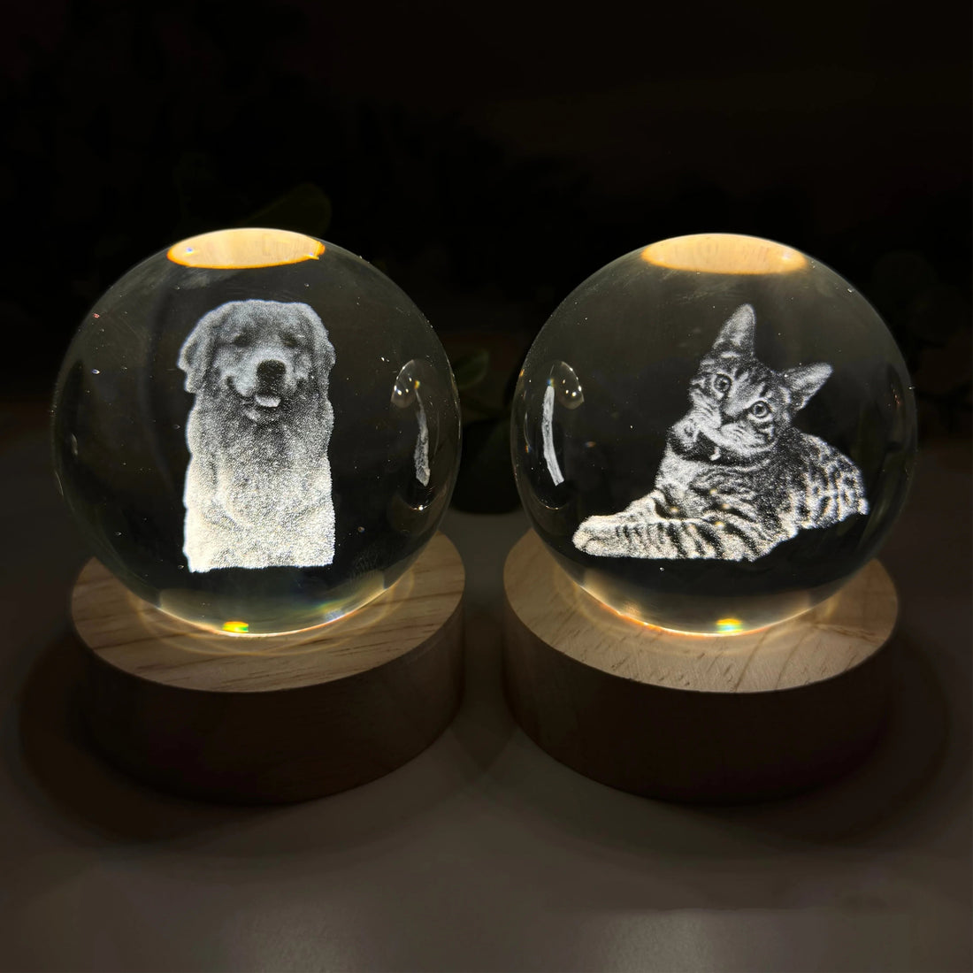 Cherish Your Pet's Memory with the Perfect Souvenir