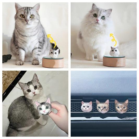 Preserve Your Pet's Memory with Custom Plaster Models from welldonepet