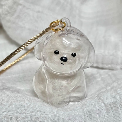 Transparent Cat and Dog Hair Storage Capsule