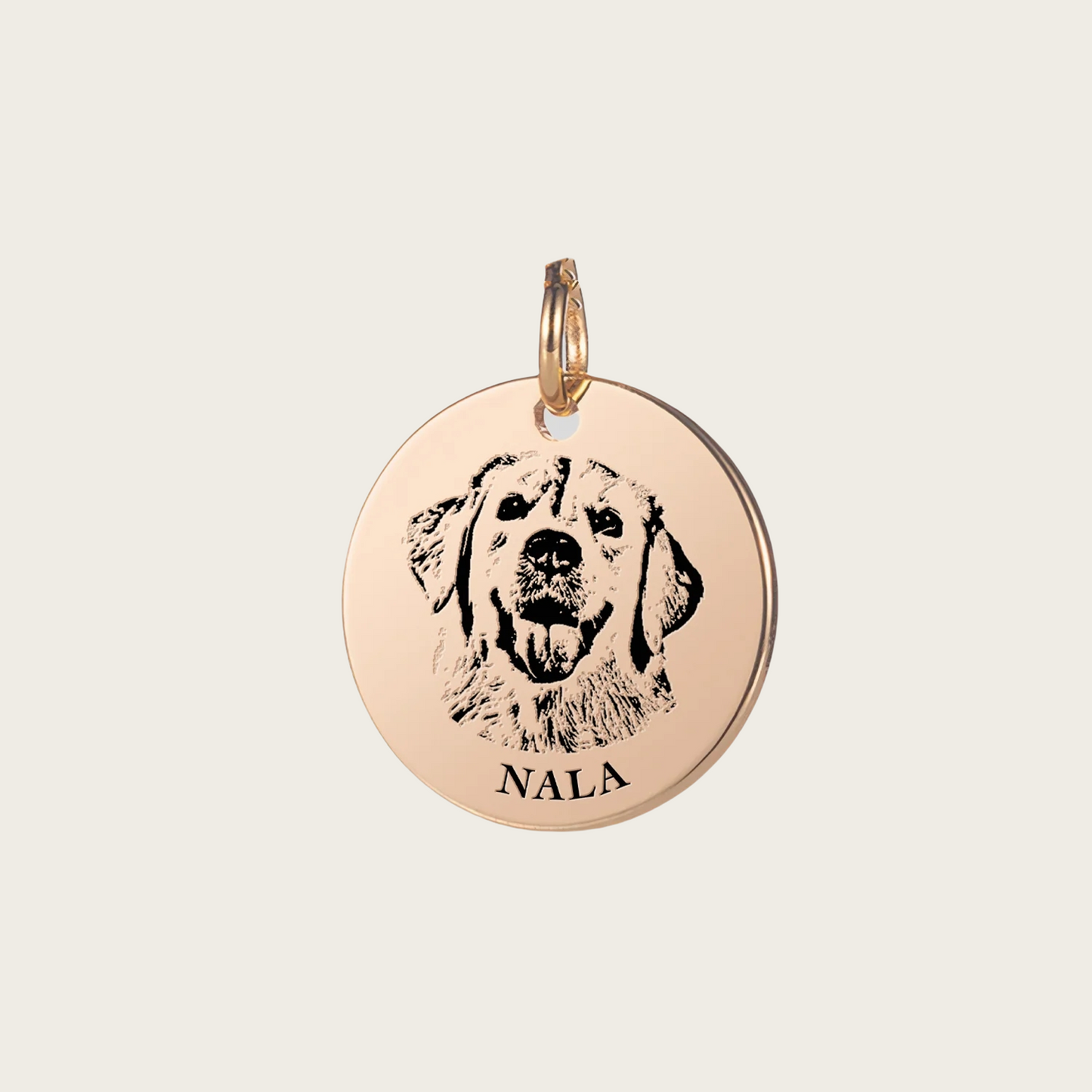 Customized pet portrait necklace/keychain